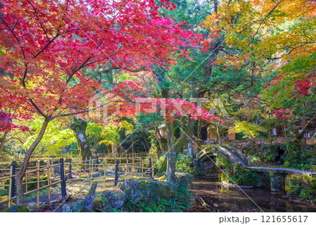 聖宝寺　庭園　鳴谷山聖宝寺　紅葉の名所　いなべ市　三重県 121655617