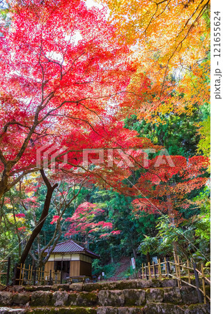 聖宝寺　血のもみじ　庭園　鳴谷山聖宝寺　紅葉の名所　いなべ市　三重県 121655624