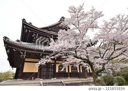 南禅寺　桜咲く　春景色　京都市 121655834