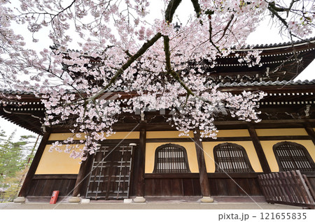 南禅寺 桜咲く 春景色 京都市 南禅寺 桜咲く 春景色 京都市 121655835