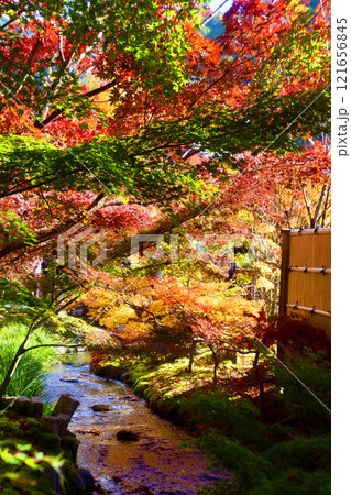 永観堂・禅林寺・庭園・紅葉(京都・左京区) 永観堂・禅林寺・庭園・紅葉(京都・左京区) 121656845