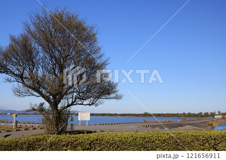 渡良瀬遊水池の風景 121656911
