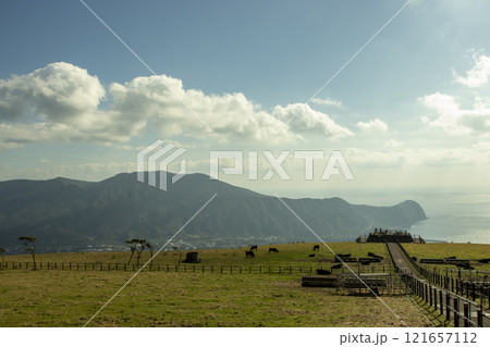 八丈島 ふれあい牧場 八丈島 ふれあい牧場 121657112