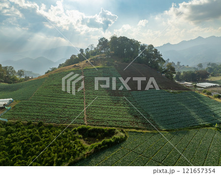 The biggest cause of forest loss is agricultural deforestation ,environmental damage in Southeast Asia , global warming and environment. The biggest cause of forest loss is agricultural deforestation ,environmental damage in Southeast Asia , global warming and environment. 121657354