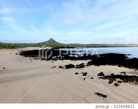 ガラパゴス諸島の各島々の自然景観 121658621