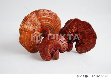 Lingzhi or Reishi mushroom with capsules, organic natural healthy food. 121658678