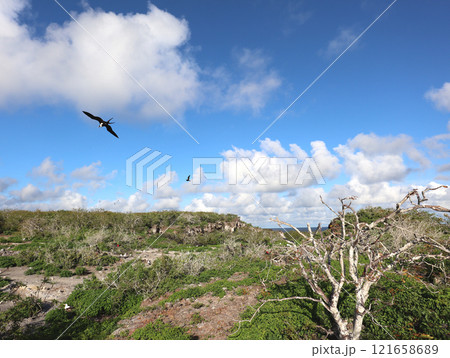 ガラパゴス諸島の各島々の自然景観 121658689