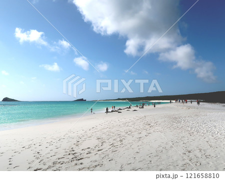 ガラパゴス諸島の各島々の自然景観 121658810