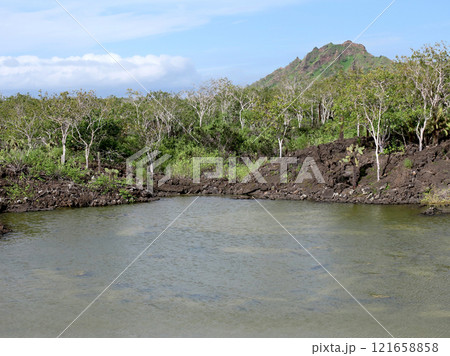 ガラパゴス諸島の各島々の自然景観 121658858