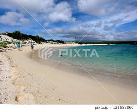 ガラパゴス諸島の各島々の自然景観 121658860