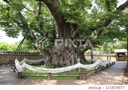 韓国、河回村 121659077