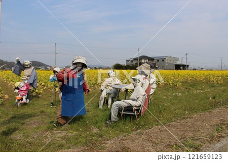 田植えをする農家の男性　菜の花畑　龍野梅林 121659123
