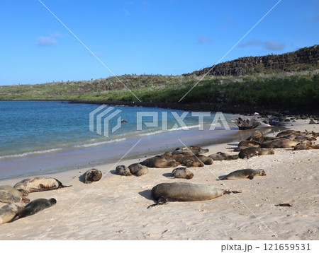 ガラパゴス諸島の各島々の自然景観 ガラパゴス諸島の各島々の自然景観 121659531
