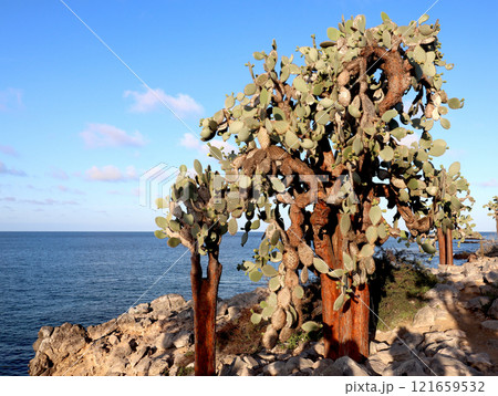 ガラパゴス諸島の各島々の自然景観 ガラパゴス諸島の各島々の自然景観 121659532