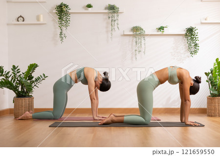 Couple and paired Asian young woman on yoga mat doing breathing exercise yoga together.Yoga meditation of two healthy female balancing body and relax at cozy home. Self care concept Couple and paired Asian young woman on yoga mat doing breathing exercise yoga together.Yoga meditation of two healthy female balancing body and relax at cozy home. Self care concept 121659550