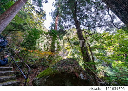 和歌山県 那智の滝の風景(2024年12月) 和歌山県 那智の滝の風景(2024年12月) 121659703