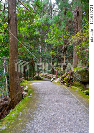 和歌山県　那智の滝の風景(2024年12月) 121659721