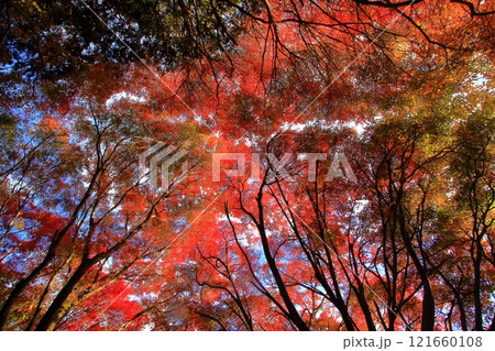 秋風景 秋風景 121660108