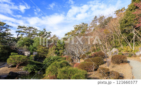 葉山しおさい公園の冬 121660377
