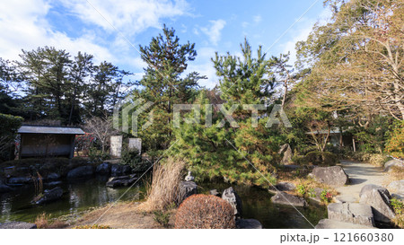 葉山しおさい公園の冬 葉山しおさい公園の冬 121660380
