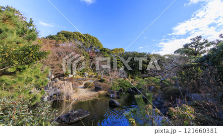 葉山しおさい公園の冬 葉山しおさい公園の冬 121660381