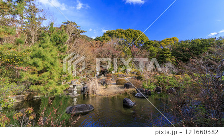 葉山しおさい公園の冬 121660382