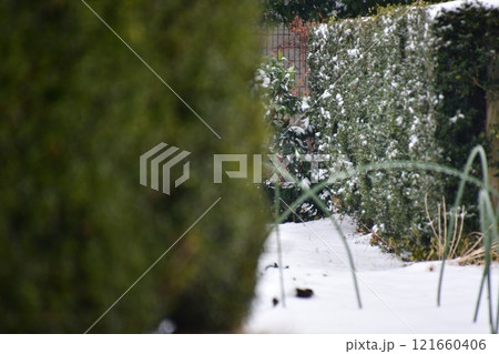 垣根と雪 垣根と雪 121660406