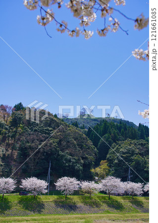 〈島根県〉満開の桜と月山富田城跡 121661085