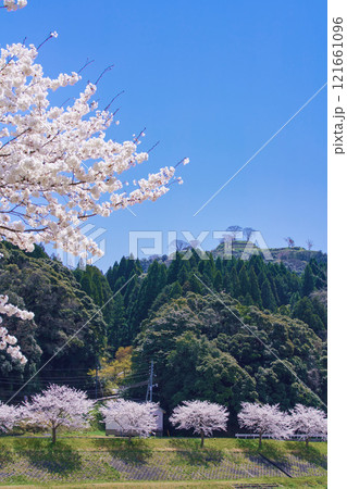〈島根県〉満開の桜と月山富田城跡 121661096