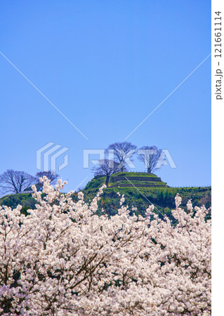 〈島根県〉満開の桜と月山富田城跡 121661114