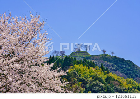 〈島根県〉満開の桜と月山富田城跡 121661115