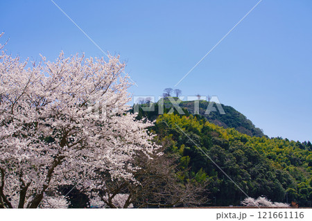 〈島根県〉満開の桜と月山富田城跡 121661116