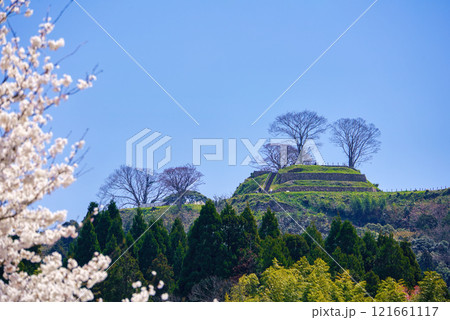 〈島根県〉満開の桜と月山富田城跡 121661117