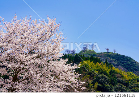 〈島根県〉満開の桜と月山富田城跡 121661119