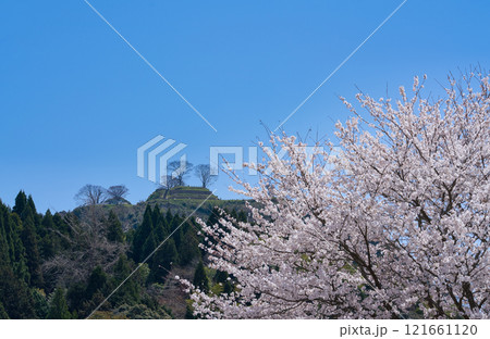 〈島根県〉満開の桜と月山富田城跡 〈島根県〉満開の桜と月山富田城跡 121661120