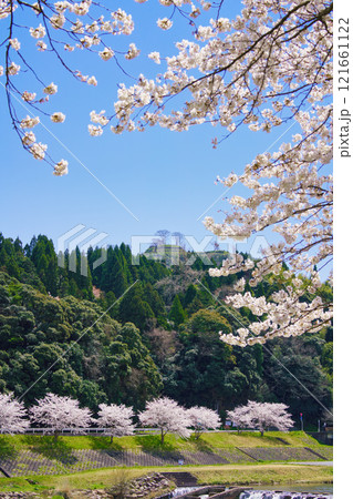 〈島根県〉満開の桜と月山富田城跡 121661122