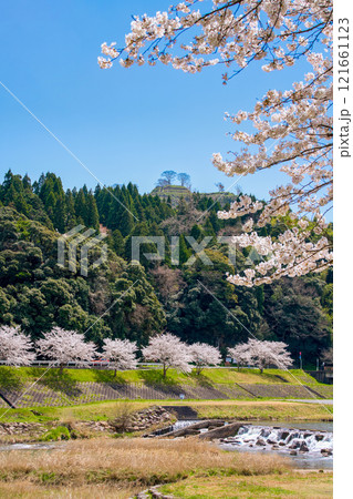 〈島根県〉満開の桜と月山富田城跡 121661123