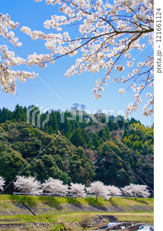 〈島根県〉満開の桜と月山富田城跡 〈島根県〉満開の桜と月山富田城跡 121661124