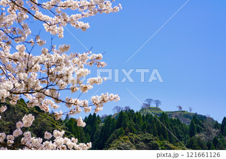 〈島根県〉満開の桜と月山富田城跡 121661126