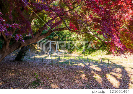 史跡法華堂跡（源頼朝墓・北条義時墓） 121661494