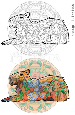 Zentangle stylized Capybara for coloring book on mandala. Hand drawn decorative vector illustration 121661500