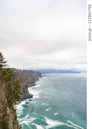岩手 三陸 鵜の巣断崖の風景 岩手 三陸 鵜の巣断崖の風景 121661768