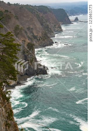 岩手 三陸 鵜の巣断崖の風景 岩手 三陸 鵜の巣断崖の風景 121661775