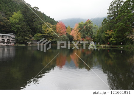 金鱗湖 九州 九州地方 121661951