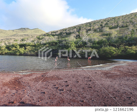 ガラパゴス諸島の各島々の自然景観 121662196