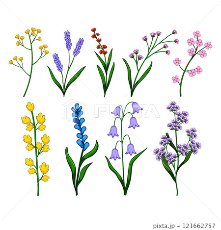 flower branch set cartoon vector illustration flower branch set cartoon vector illustration 121662757