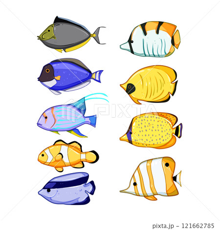 exotic fish set cartoon vector illustration 121662785