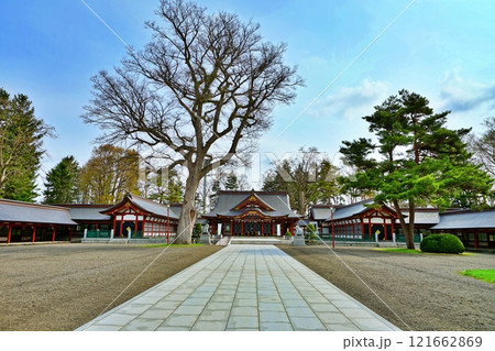 北海道護國神社御本殿の景観(北海道旭川市) 北海道護國神社御本殿の景観(北海道旭川市) 121662869