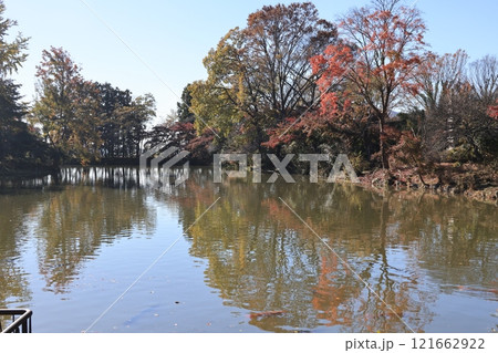栃木県佐野市出流原の弁天池の風景 栃木県佐野市出流原の弁天池の風景 121662922