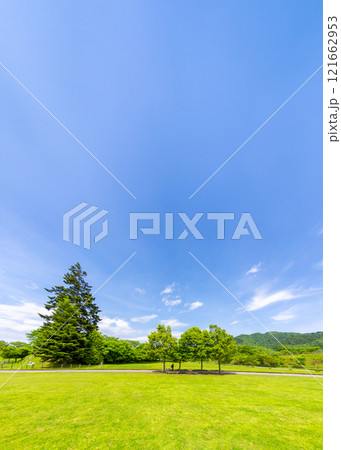 春の宮ヶ瀬湖畔園地 神奈川県 春の宮ヶ瀬湖畔園地 神奈川県 121662953